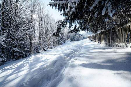 Winterwanderweg Wald | © Kufsteinerland – VANMEY Photography